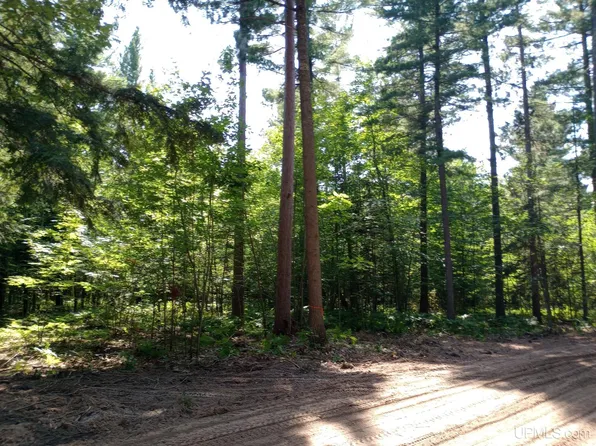 White Pine Lot 3 Way Off Forestville Basin Trl, Marquette, MI 49855