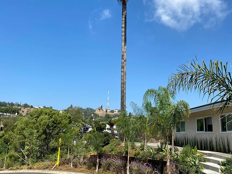 Ridgemont Dr — Photo 10