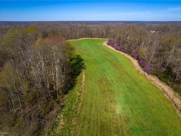 Sealover Hollow Rd, Philo, OH 43771