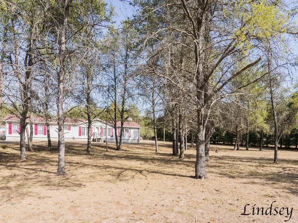 2211 E Thirteen Mile Rd, Bitely, MI 49309