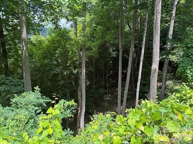 2nd image of LOT 22 Spring Rock Rd