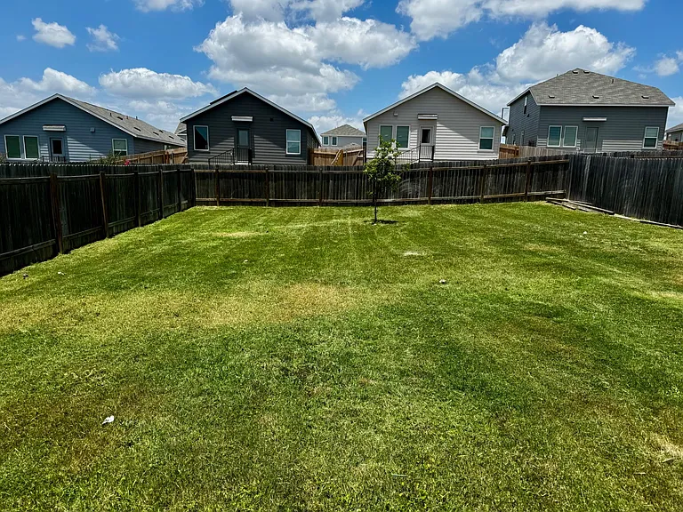253 Texas Angel Way — Photo 12