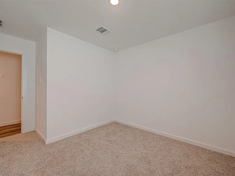 1018 Fringed Bluestar Dr — Photo 31