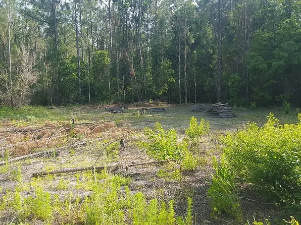 1687 Papaya St, Bunnell, FL 32110
