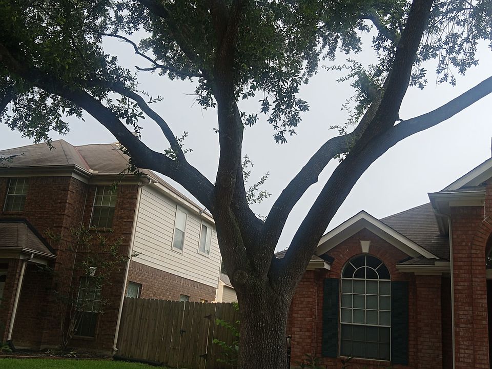 1st image of 15911 Timber Chase Dr #1