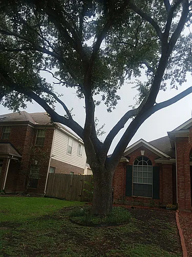 15911 Timber Chase Dr #1 Photo 1
