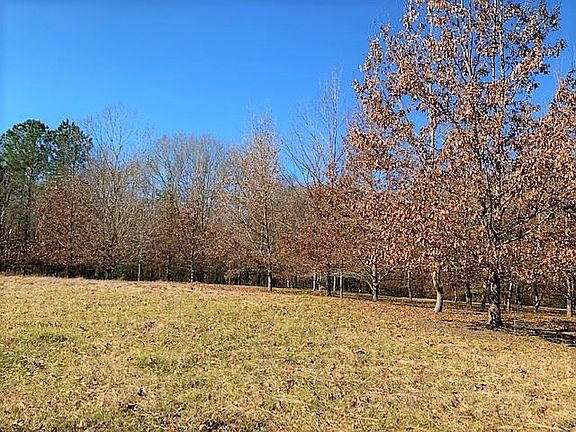5th image of 238 County Road 2833