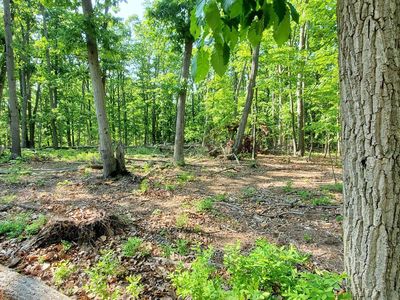 391 Principio Rd, Port Deposit, MD, 21904