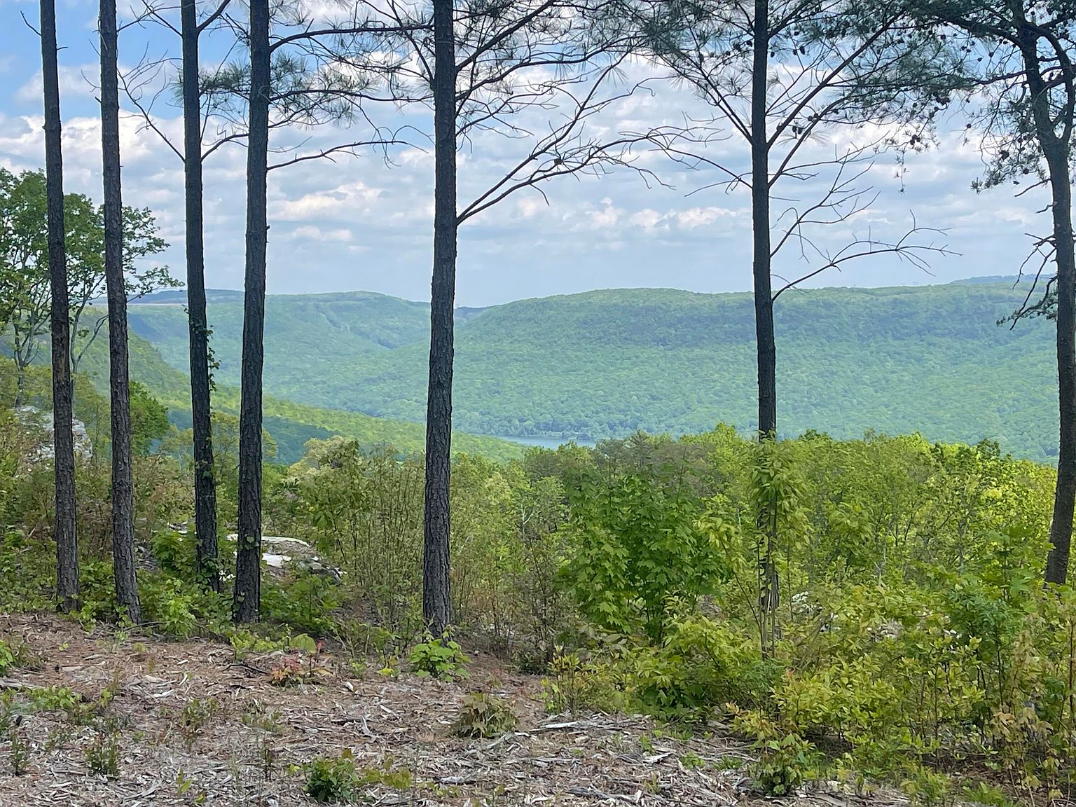 0 Catfish Vw LOT 1300, Guild, TN 37340 MLS 1391576 Zillow