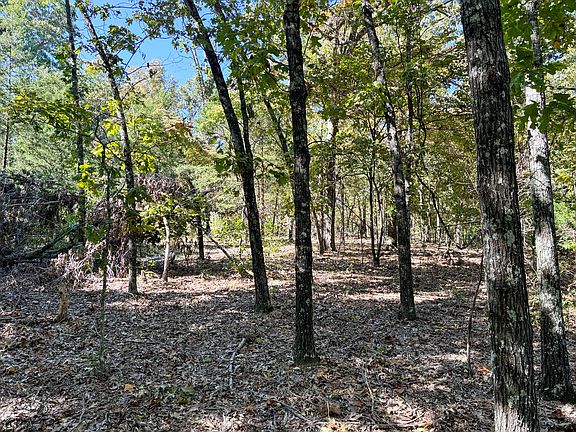 4th image of 000 County Road 636