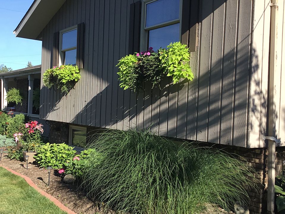 Front yard 