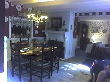 5th image of 345 Apple Jack Ln