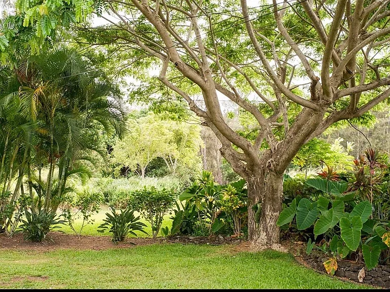 Kukuihaele Rd — Photo 21