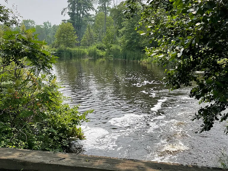 37 Red Tail Rd — Photo 32
