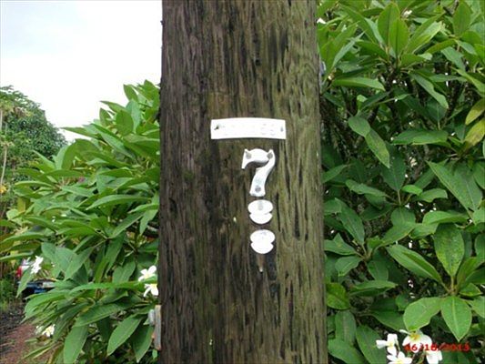 4th image of Papai St Lot 4
