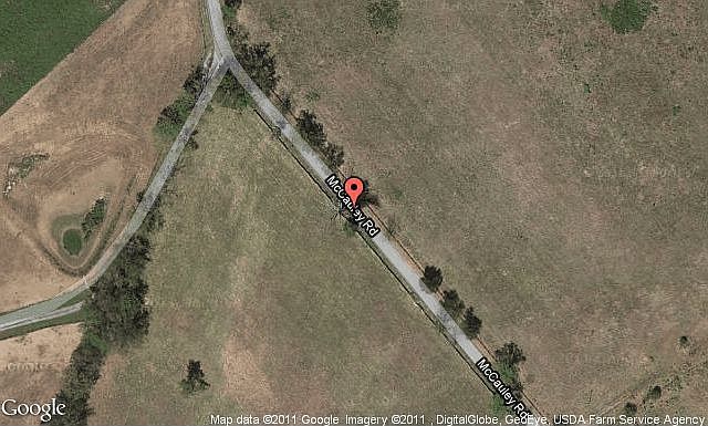 Map View
