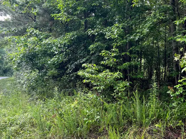 State Highway 75, Henagar, AL 35978