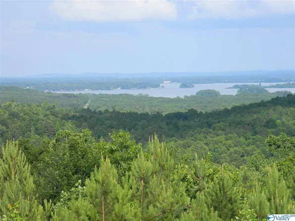 7 & 8 County Road 682, Cedar Bluff, AL 35959