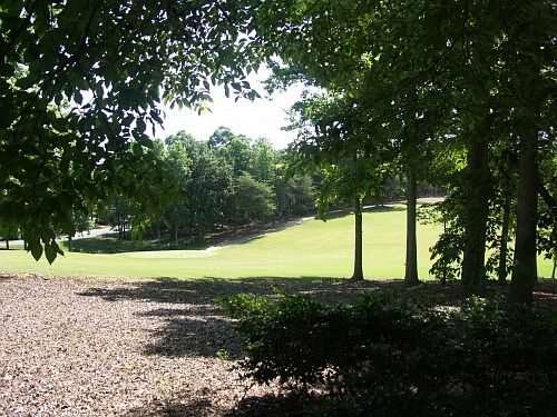 5th image of 119 Yadkin Fls
