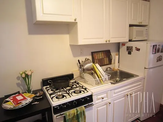 Rented by Alpha Properties NYC I LLC | media 14