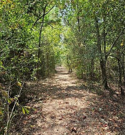 2nd image of 0 Donnie Price Rd