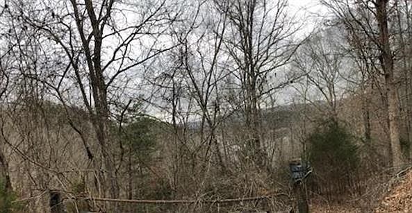 1st image of Norris Shores Ln