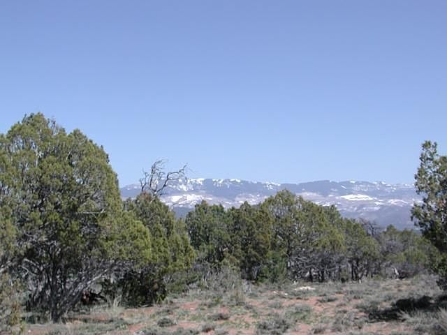 1st image of 730 Snowy Peak