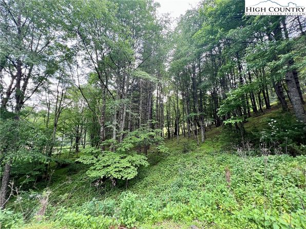 Lot 3 Riverwood Lane, Sugar Grove, NC 28679
