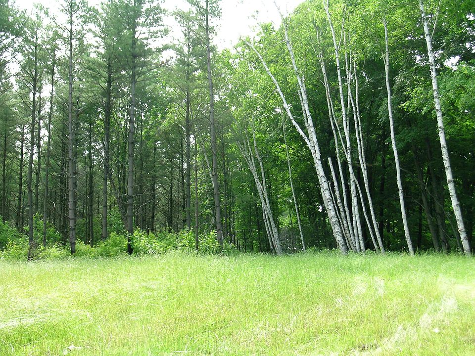 1st image of 8161 Grosbeak Woods NW