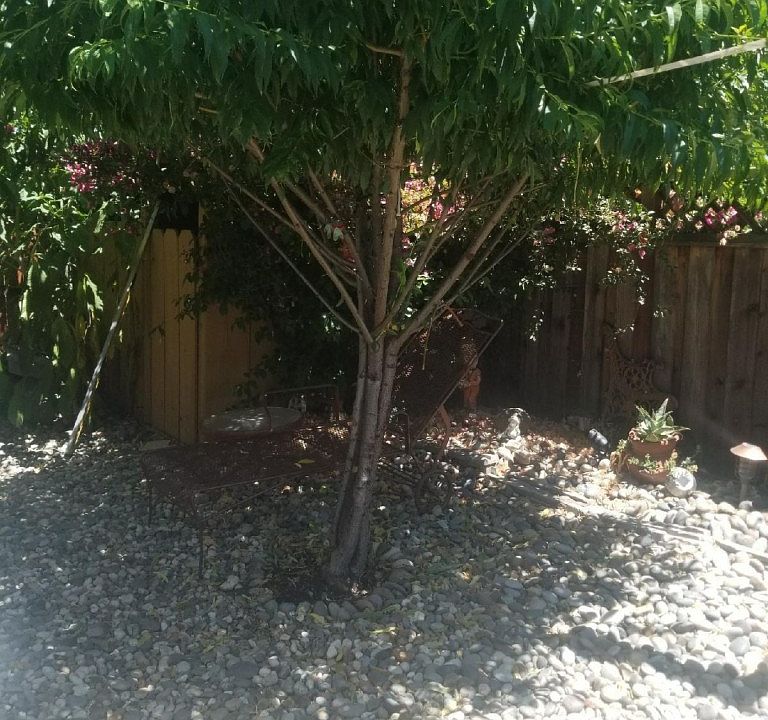 1st image of 317 Duncan Ave