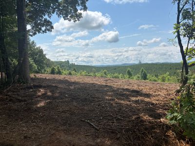 2 Lake Cir, Spring City, TN, 37381