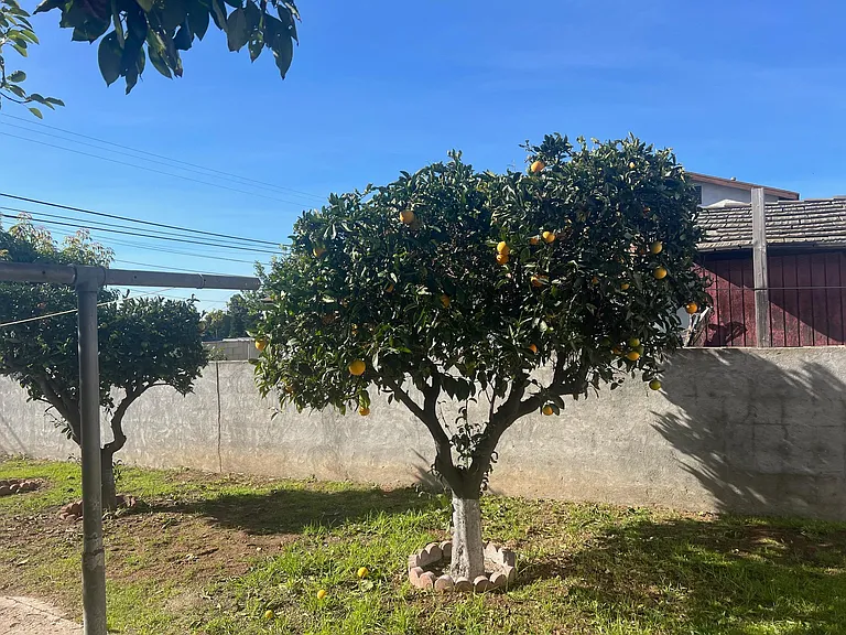 3887 Ocean View Blvd — Photo 38