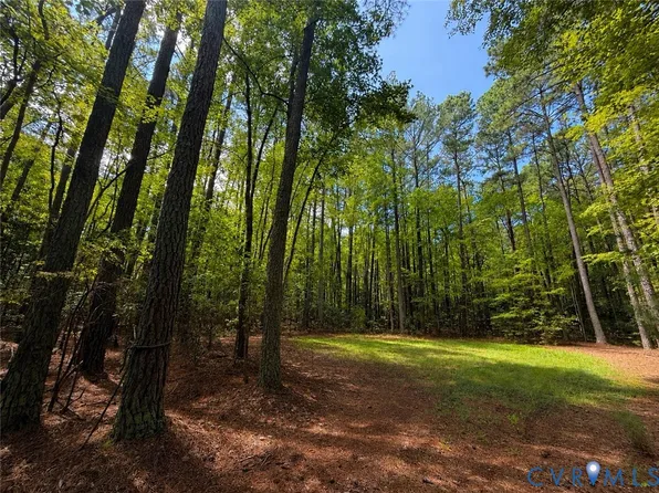0 Robinson Ln, Topping, VA 23169