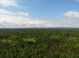 Industrial Road 40 Acres, Pellston, MI 49769