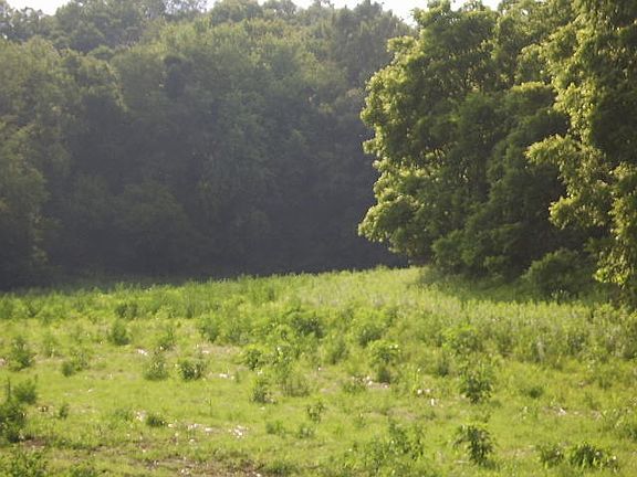 2nd image of 41 Acres County Road Kp