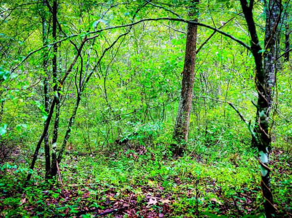 0 Saddler Rd, Manchester, KY 40962