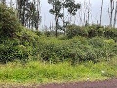 1st image of Coconut Dr Lot 74