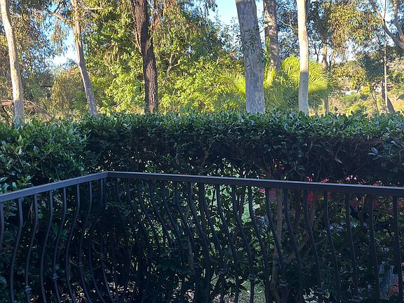 View from Patio