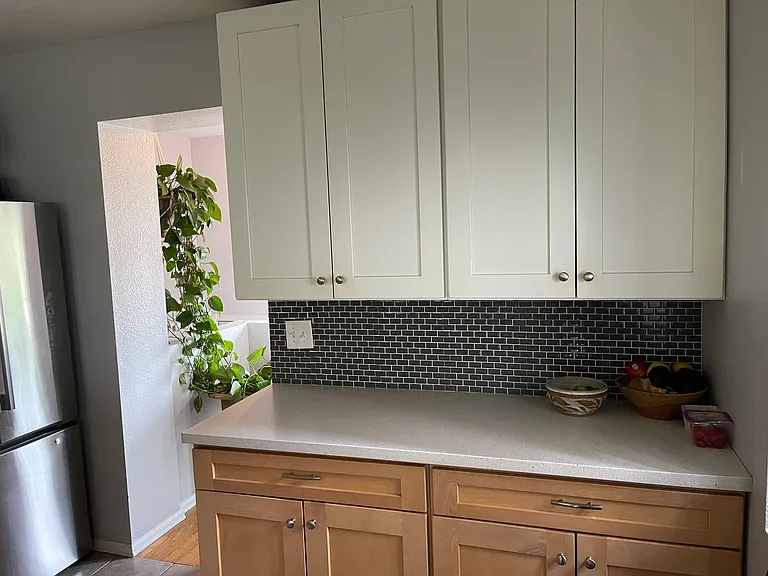 2920 N Race St — Photo 6