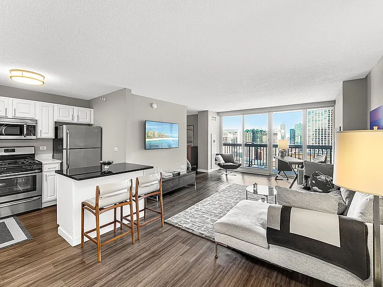 545 N Dearborn St #3006 — Photo 2