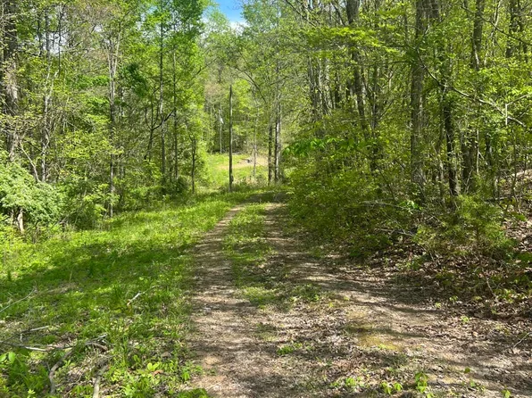 199 Lick Skillet Rd, Maynardville, TN 37807