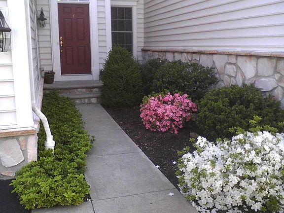 Spring View of outside