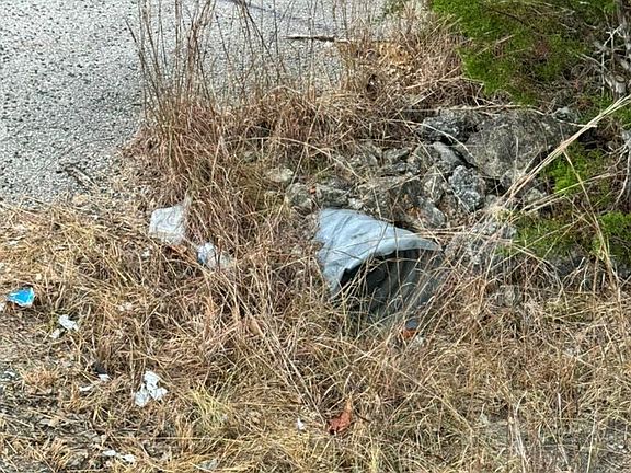 4th image of 25009 Fawn Dr