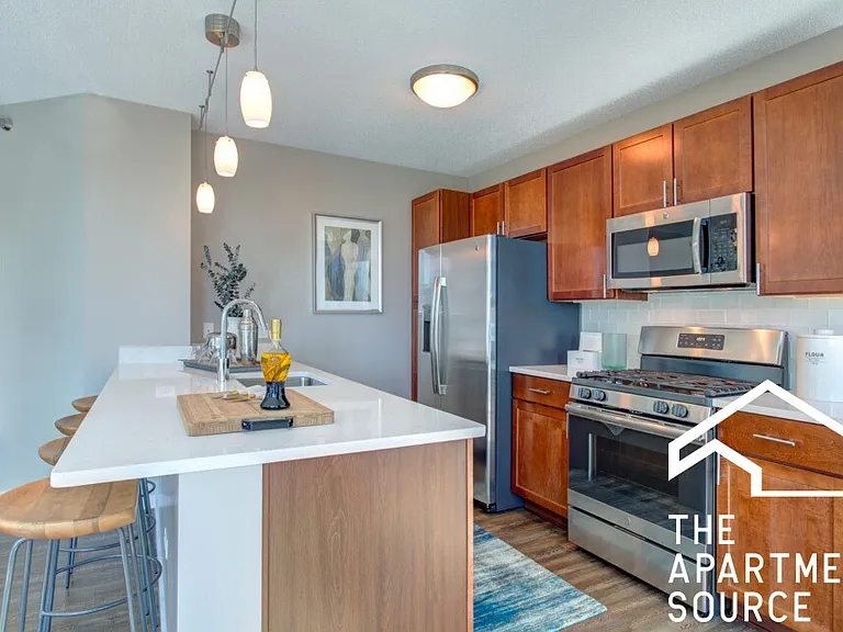 355 E Ohio Studio #STUDIO — Photo 2