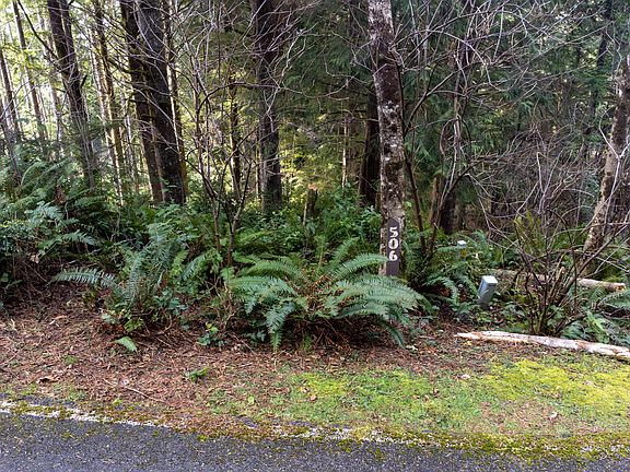 3rd image of 506 Beaver Pond Ln
