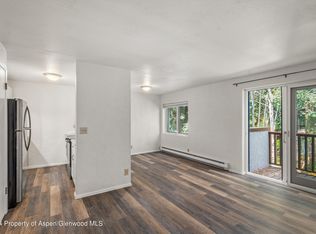 425 Park Cir APT B, Aspen, CO 81611