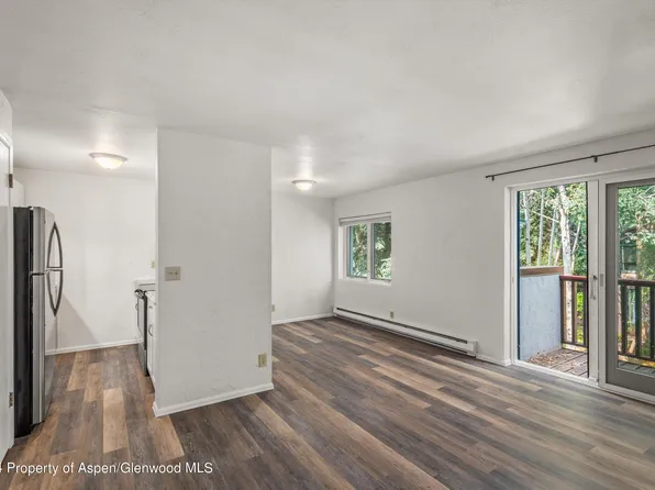 425 Park Cir APT B, Aspen, CO 81611