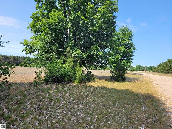 3rd image of 11849 Meadowpine Dr