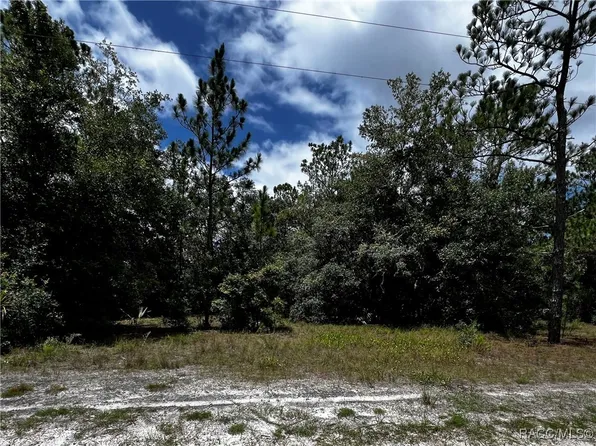 (undisclosed Address), Crystal River, FL 34428