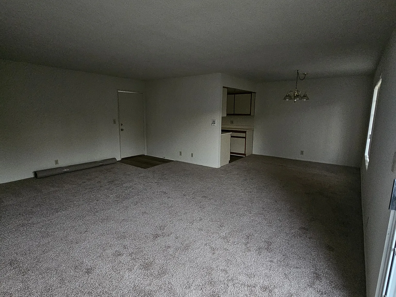 2 bed, 1000 sqft, $2,295 — Photo 4